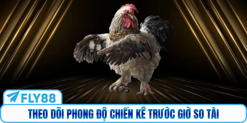 Theo dõi phong độ chiến kê trước giờ so tài