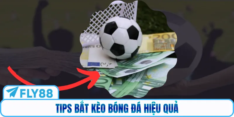 Tips bắt kèo bóng đá hiệu quả